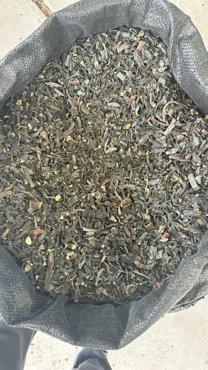 Lessonia nigrescens Brown chopped from peru