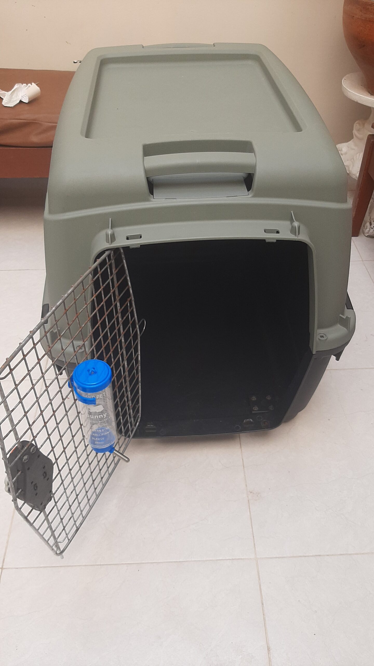Venta Transportador Bracco Sprint eco 5