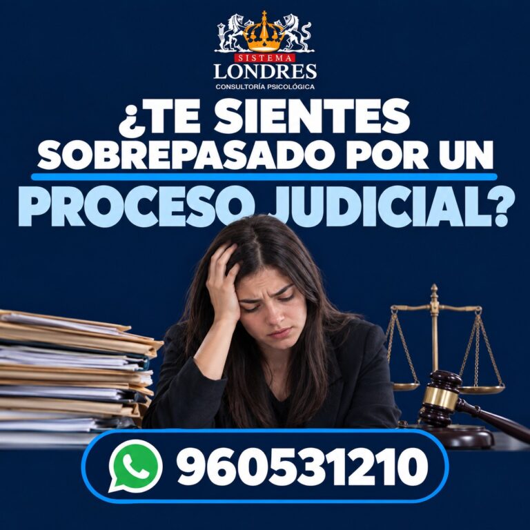 Orientación en procesos judiciales